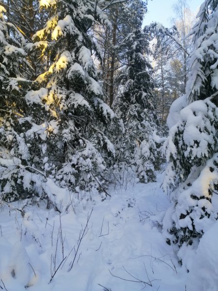 Рыбалка
