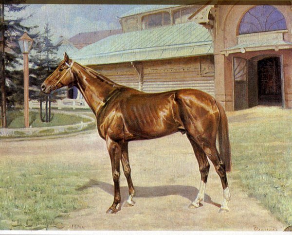 0 Nu805rR9S рыжий Флореал, 1908 г.р.