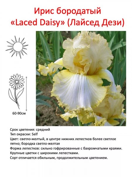 Для нашего сада