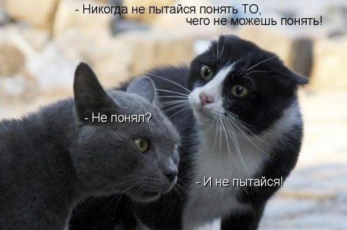 UID248057 1586668470 55
