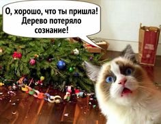 4be0bb4b3ca50f9615108e0016d41a77
