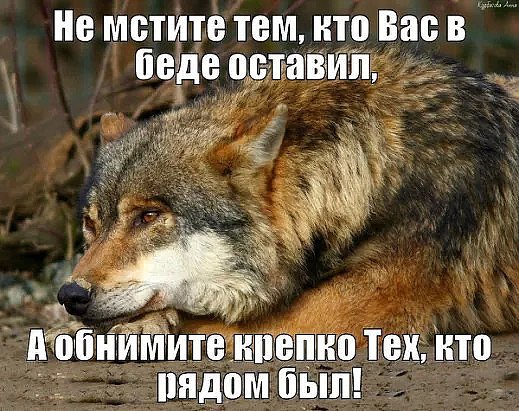 IMG 20200602 035120