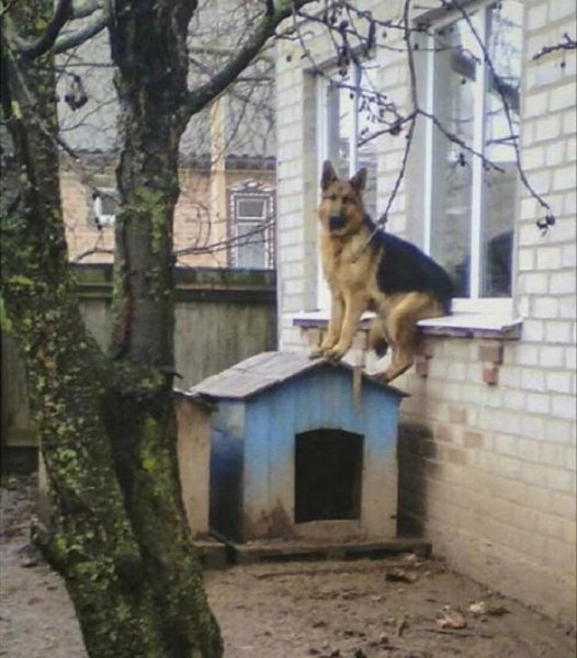 Решил посидеть