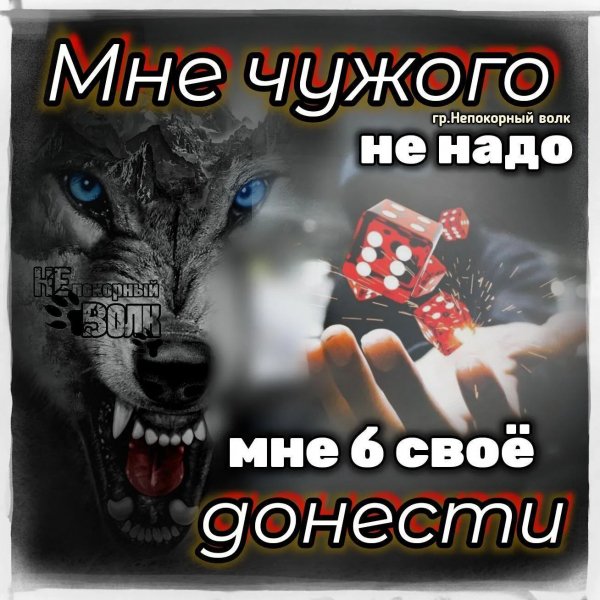 IMG 20260110 124850