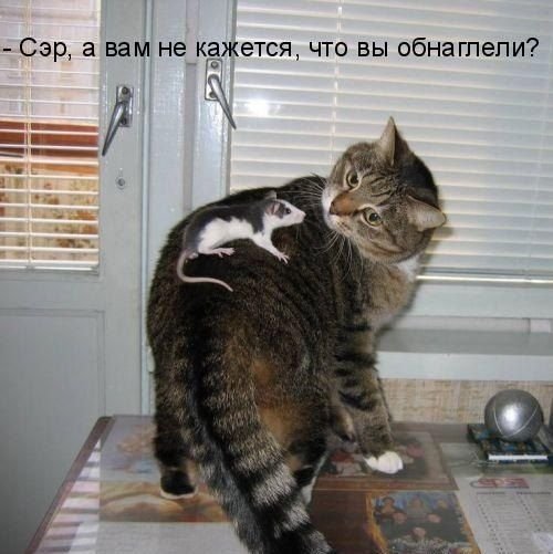 А???