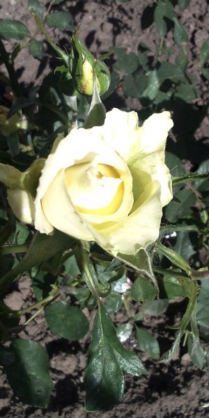 IMG 20230930 111423