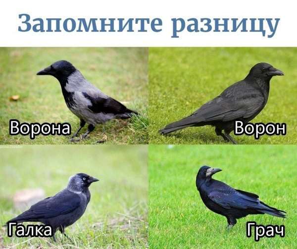 )))