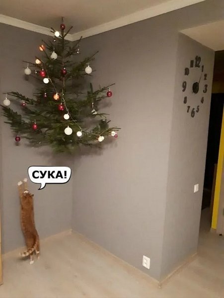 IMG 20191208 174147