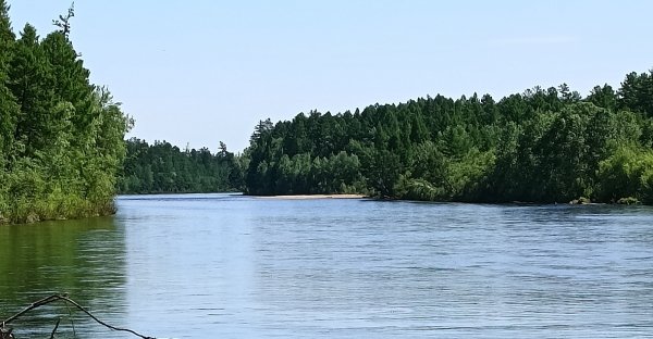 picture_390679811