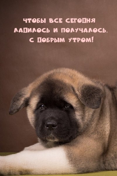 С добрым утром!