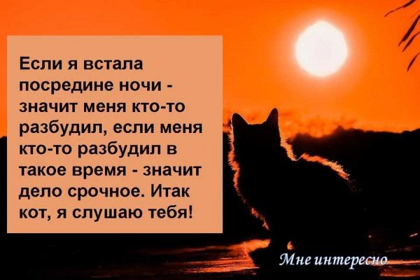 Я слушаю тебя!
