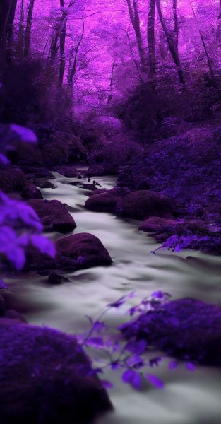 Арт Природа
