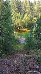 images (41)