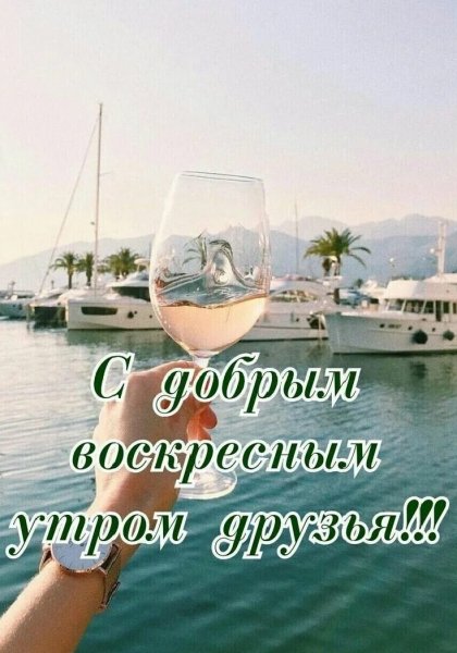 Друзья мои!