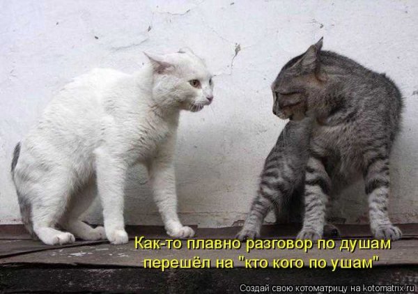 )))))))