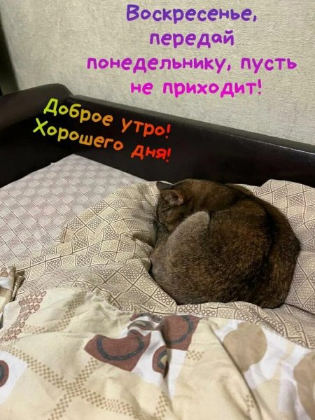 Да! ))