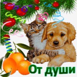 getImage(381)