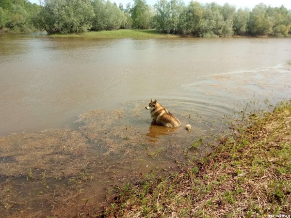 У Белки водные процедуры