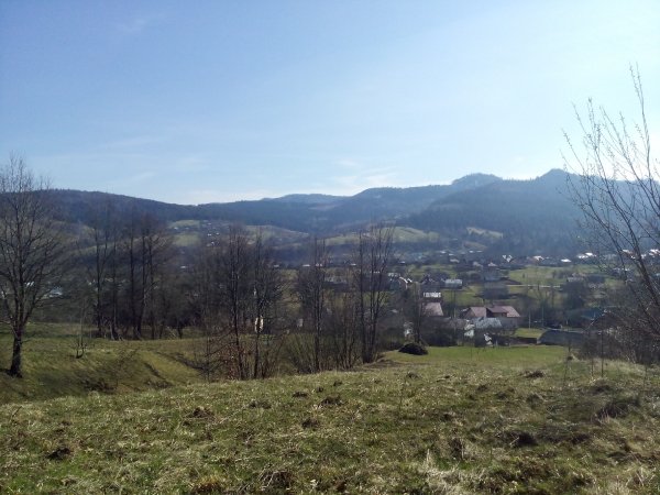 picture_116847494