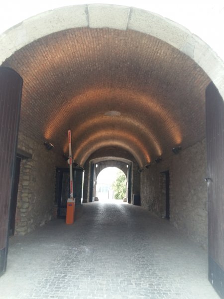 picture_304746522