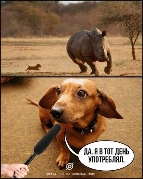 Опаньки!