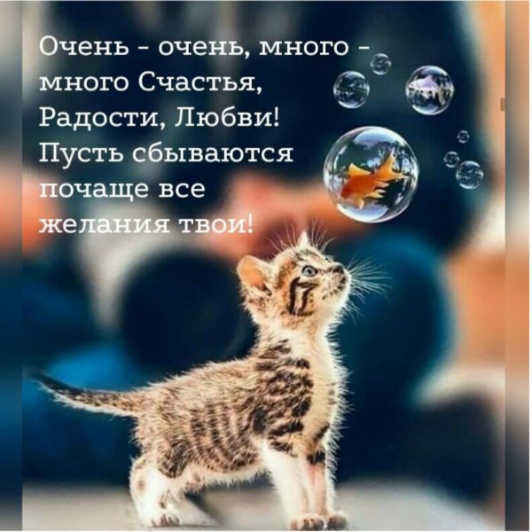 Oxh0TCl3I8U