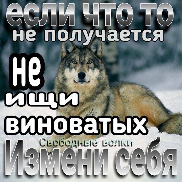 IMG 20200602 034831