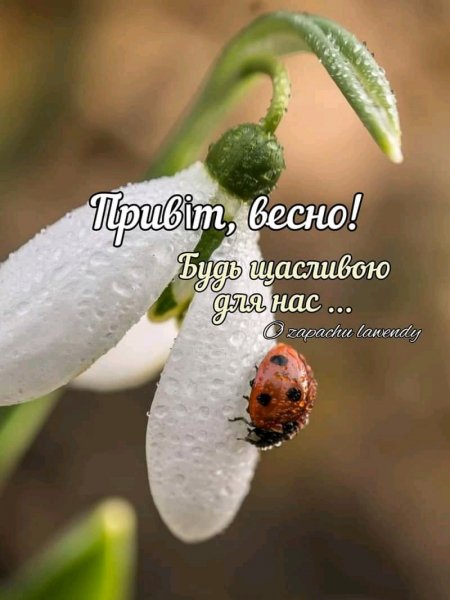 FB IMG 16147763312693788