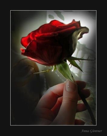 For You
