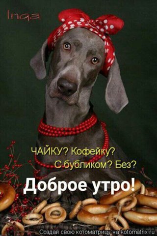 Доброе утро!