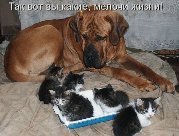 Мелочи жизни!