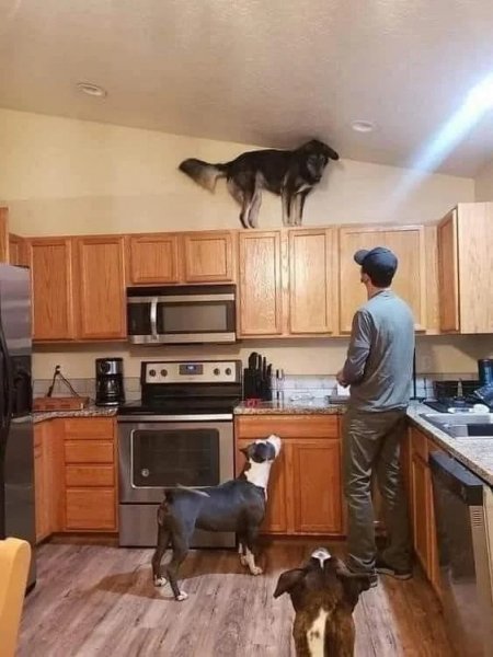 Ты зачем туда залез