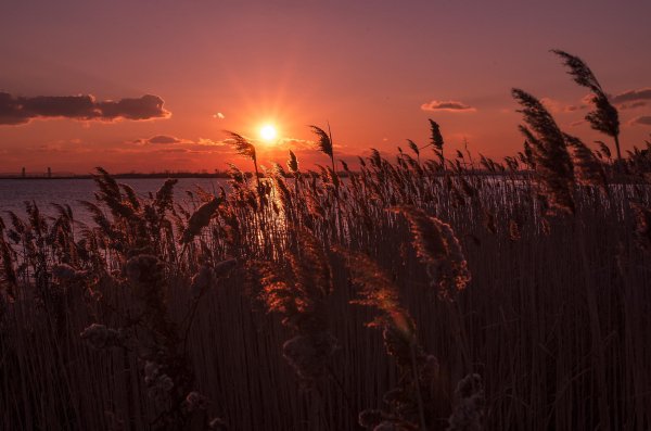 Earth-sunset-682773