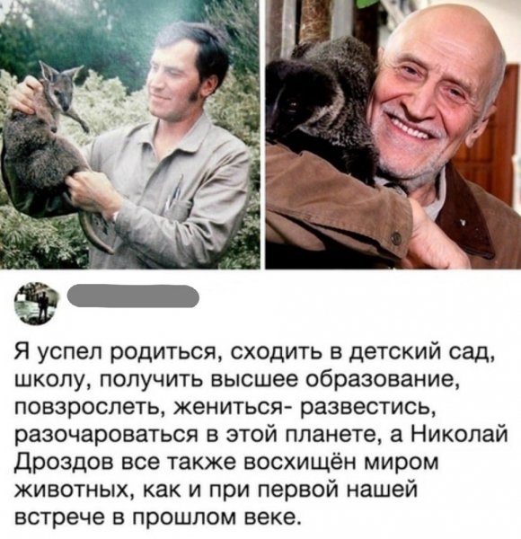 Дроздов