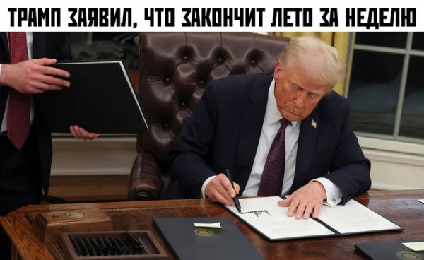 Zmziq6nx