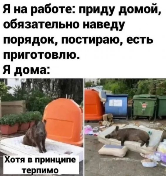 Терпимо)