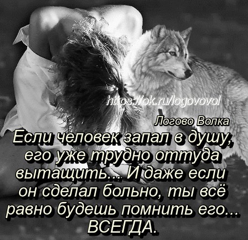 IMG 20181122 074328