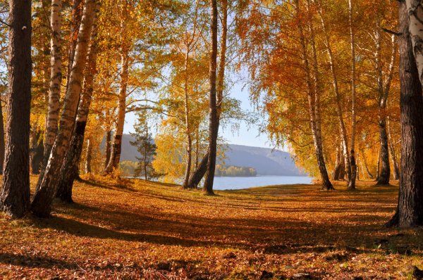 Autumn
