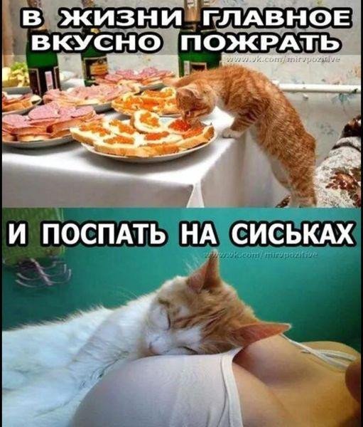 И то верно! )))