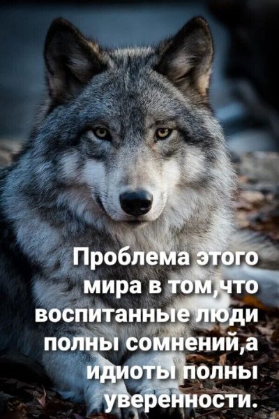 IMG-20260626-WA0073
