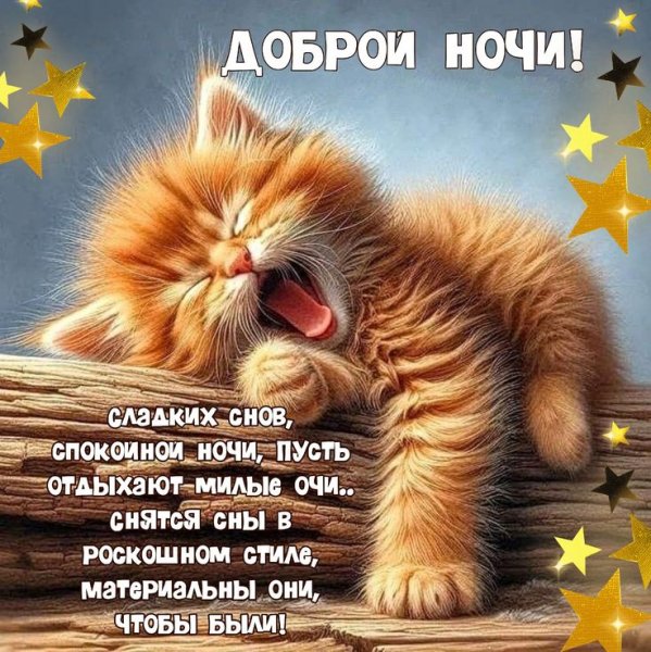 cff4d94715980c4cc5194e81f17c4