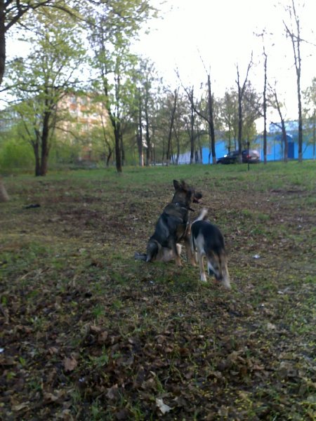 picture_239147114