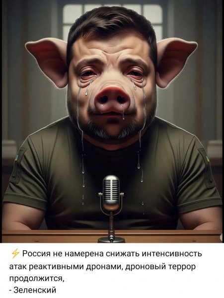 IMG 20260903 114318