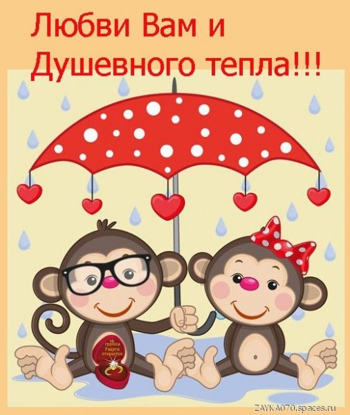 14f-валентинru
