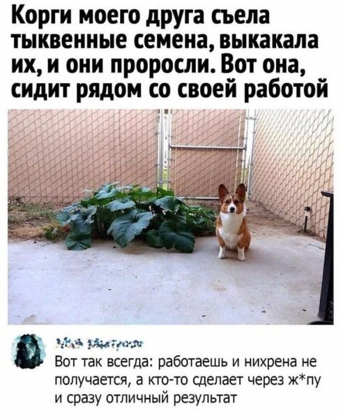 )