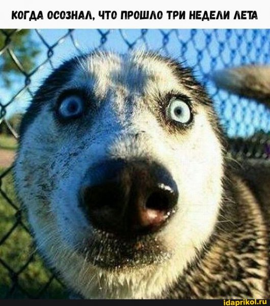 Ах, лето