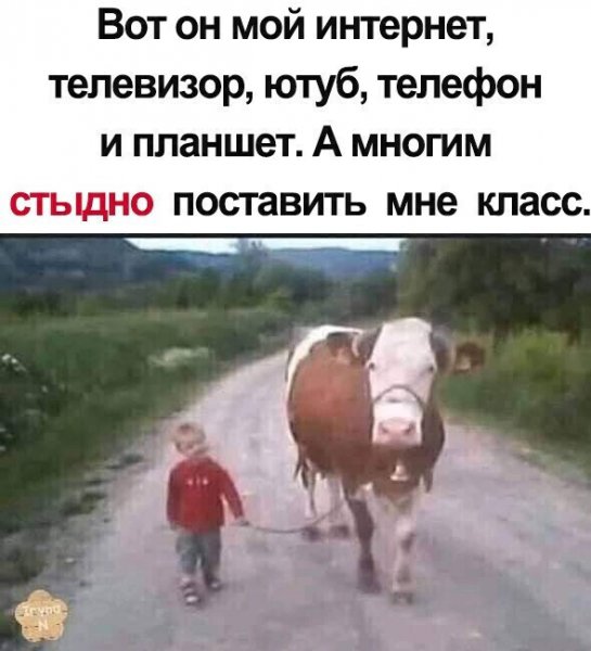 IMG 20220726 181710
