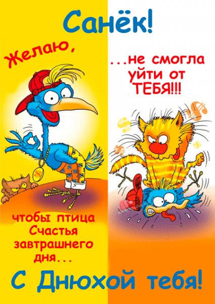 Прикольс-днем-рождения-Александр
