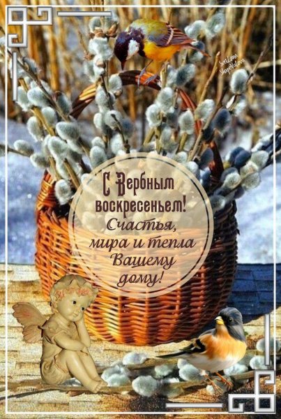 IMG-20230409-WA0001