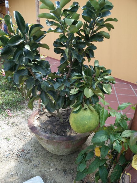 IMG 20170129 124637